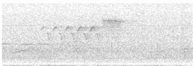 Cerulean Warbler - ML79554581