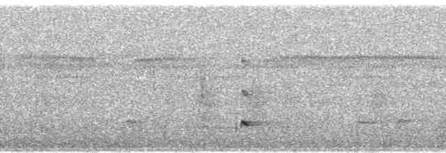 Kestane Karınlı Ardıç - ML79630