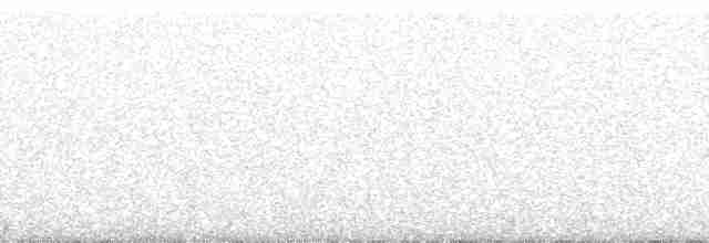 Белокрылый крапивник - ML79696
