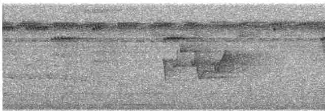 Black-tailed Trogon - ML79779791