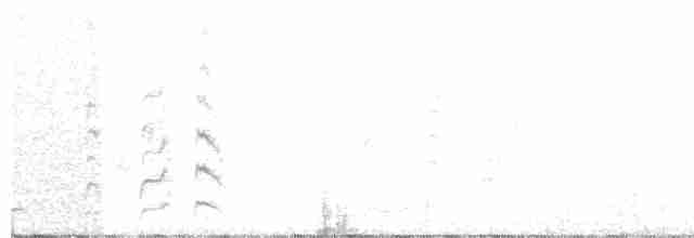 White-rumped Shrike - ML80241651