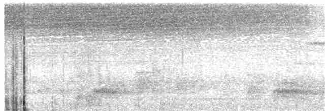 Бюльбюль-довгодзьоб рудохвостий - ML80241721
