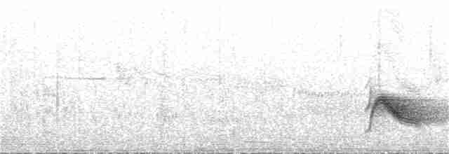 Gri Yanaklı Bülbül Ardıcı - ML80426041