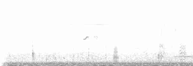 裏海燕鷗 - ML80463271