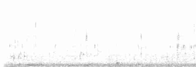 Пелікан бурий (підвид carolinensis) - ML80533521