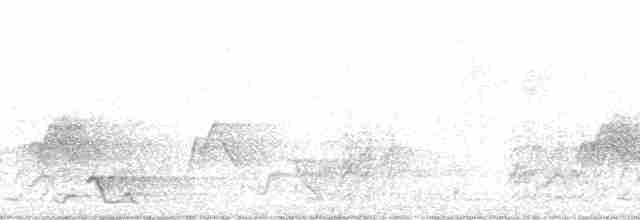 Esmer Arapbülbülü [tricolor grubu] - ML80637