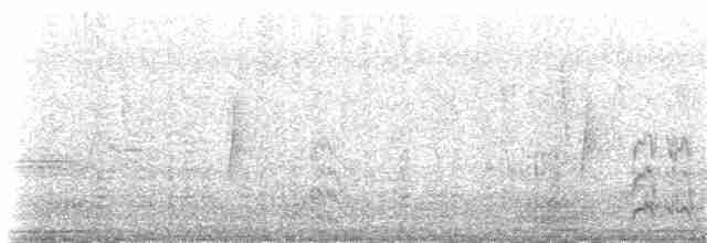 vlaštovka jeskynní (ssp. citata) - ML80824431