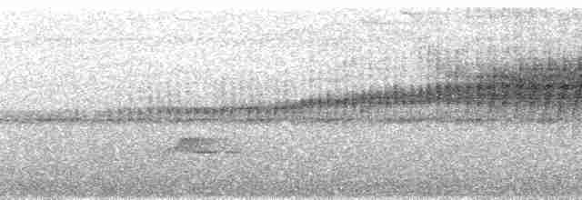 Dreistreifen-Waldsänger (auricularis) - ML80874