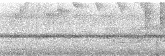 Dreistreifen-Waldsänger (auricularis) - ML80923
