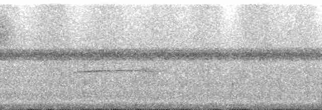 arassari rudokostřečný - ML80971