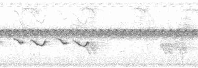 オリーブズキンカオグロムシクイ（semiflava） - ML81036