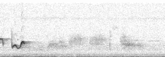 Ak Kaşlı Çıtkuşu - ML81157