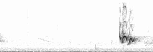 Ak Kaşlı Çıtkuşu - ML81167