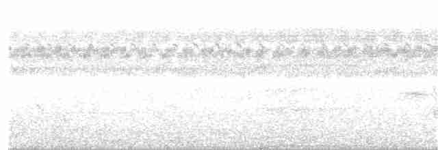 Серогрудый трескун - ML81284451