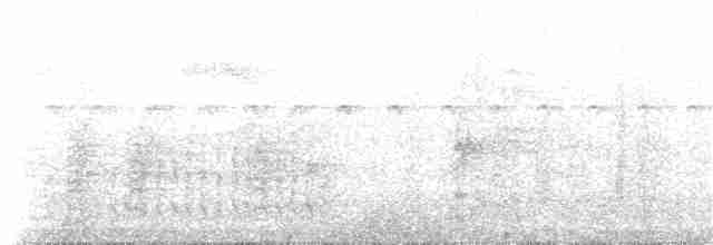Зернолуск чорноголовий - ML81296351