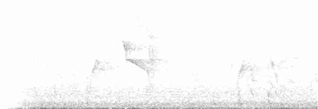 Зернолуск чорноголовий - ML81296401