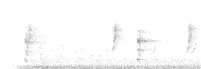 Пересмішник сірий - ML81296411