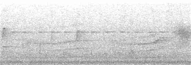 Ластівка північна (підвид ridgwayi/stuarti) - ML81296441