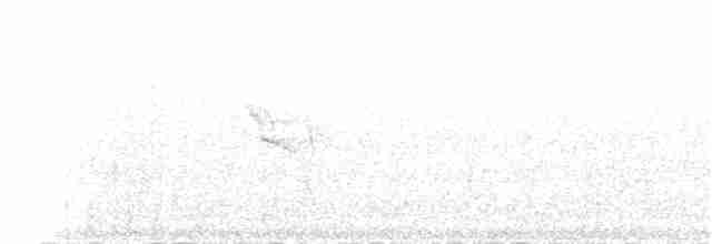 Social Flycatcher (Vermilion-crowned) - ML81296601