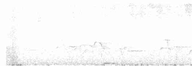 Troglodyte à poitrine grise - ML81343951