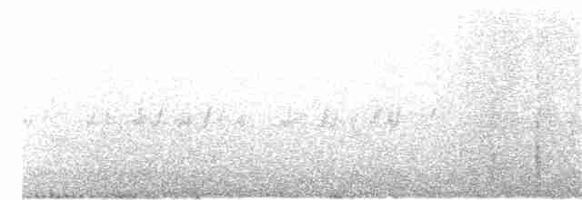 "Шишкар ялиновий (Sitka Spruce, або тип 10)" - ML81362301