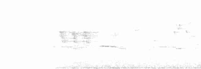Атакамский козодой - ML81364691
