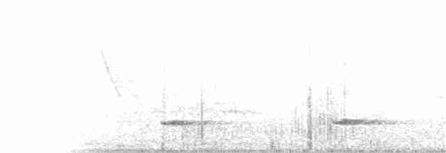 Small-billed Tinamou - ML81376461