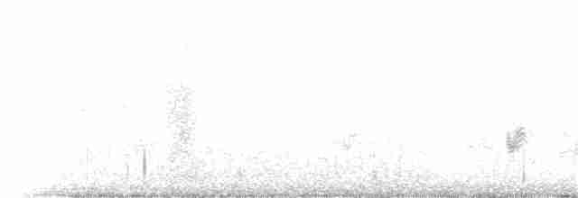 Klappergrasmücke (curruca/blythi/halimodendri) - ML81484691