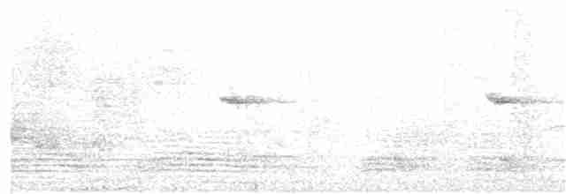 Russet-tailed Thrush - ML81527301
