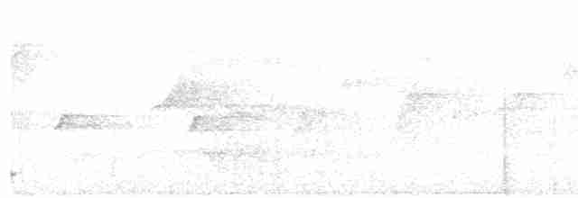 Желтогорлая кустовка - ML81528041