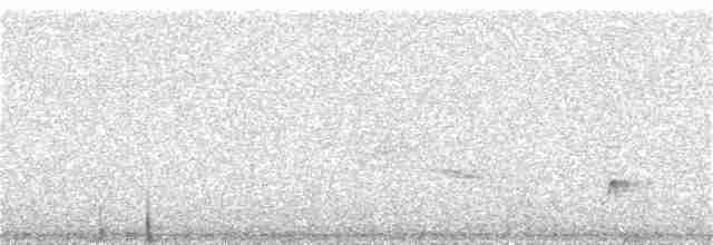 Bewick Çıtkuşu - ML81619241