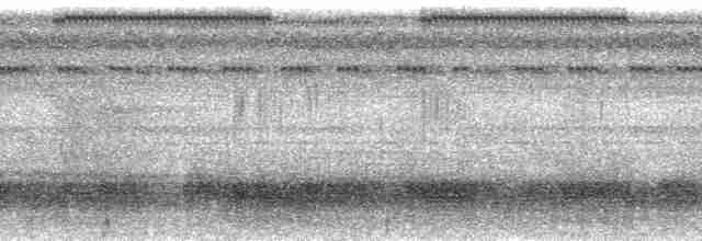 Пестроклювый арасари (humboldti) - ML81646