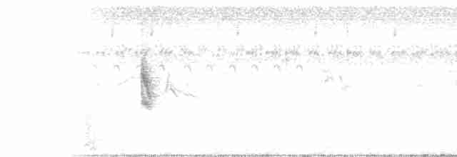 White-browed Meadowlark - ML81660161