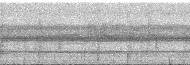 Black-billed Thrush (Drab) - ML81674