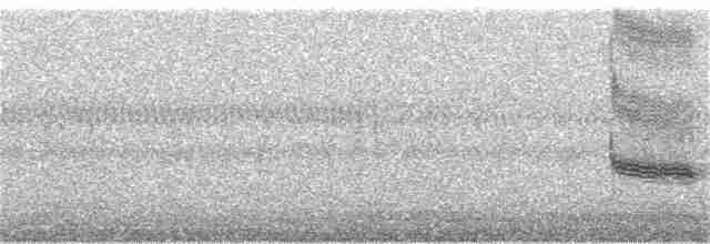 Loggerhead Shrike - ML81752391