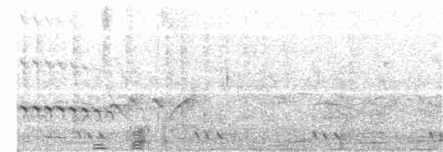 White-throated Kingfisher - ML81756241