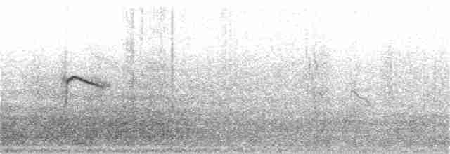Пестрогрудый норник - ML82019261