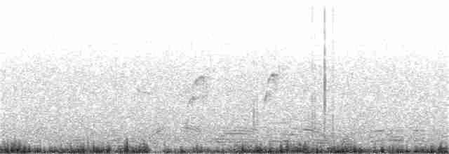 クビワアマツバメ - ML82021081