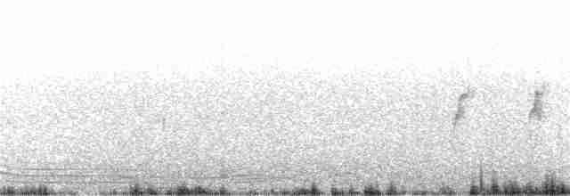 White-collared Swift - ML82021091