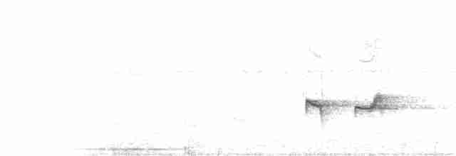 Rostbauch-Ameisenfänger - ML82040581