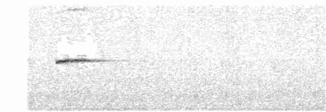 Малая бесхвостка - ML82095201