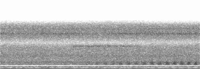 Uzun Kulaklı Puhucuk - ML82123141