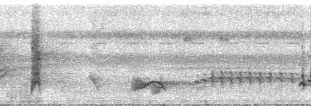 Black-billed Thrush (Drab) - ML82139