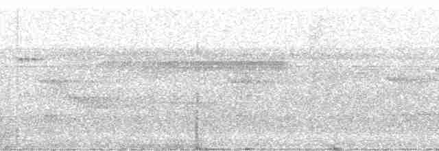 Ockerstirn-Blattspäher - ML82153