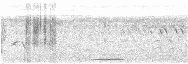 chřástalík kaštanovoprsý - ML82162361
