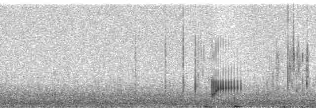 Савка андійська (підвид ferruginea) - ML82180