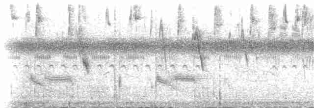 Sicale des savanes (groupe chrysops) - ML82185811