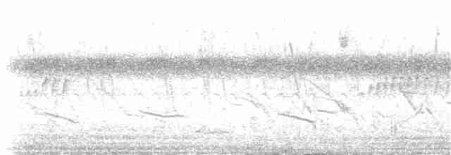 Gray-crowned Yellowthroat - ML82185991