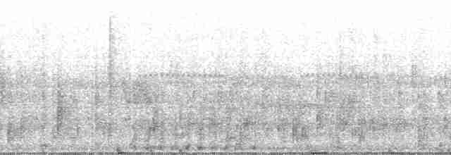 holub okrový - ML82303