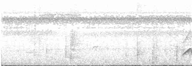 Bluish-slate Antshrike - ML82505881